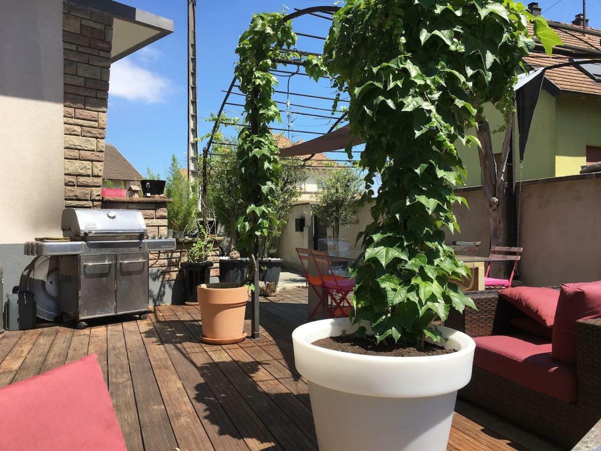La Terrasse Selestadienne セレスタ エクステリア 写真