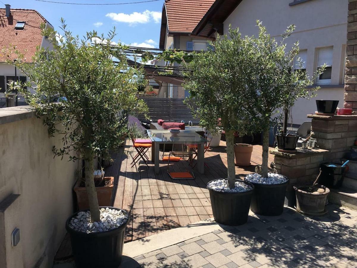 La Terrasse Selestadienne セレスタ エクステリア 写真