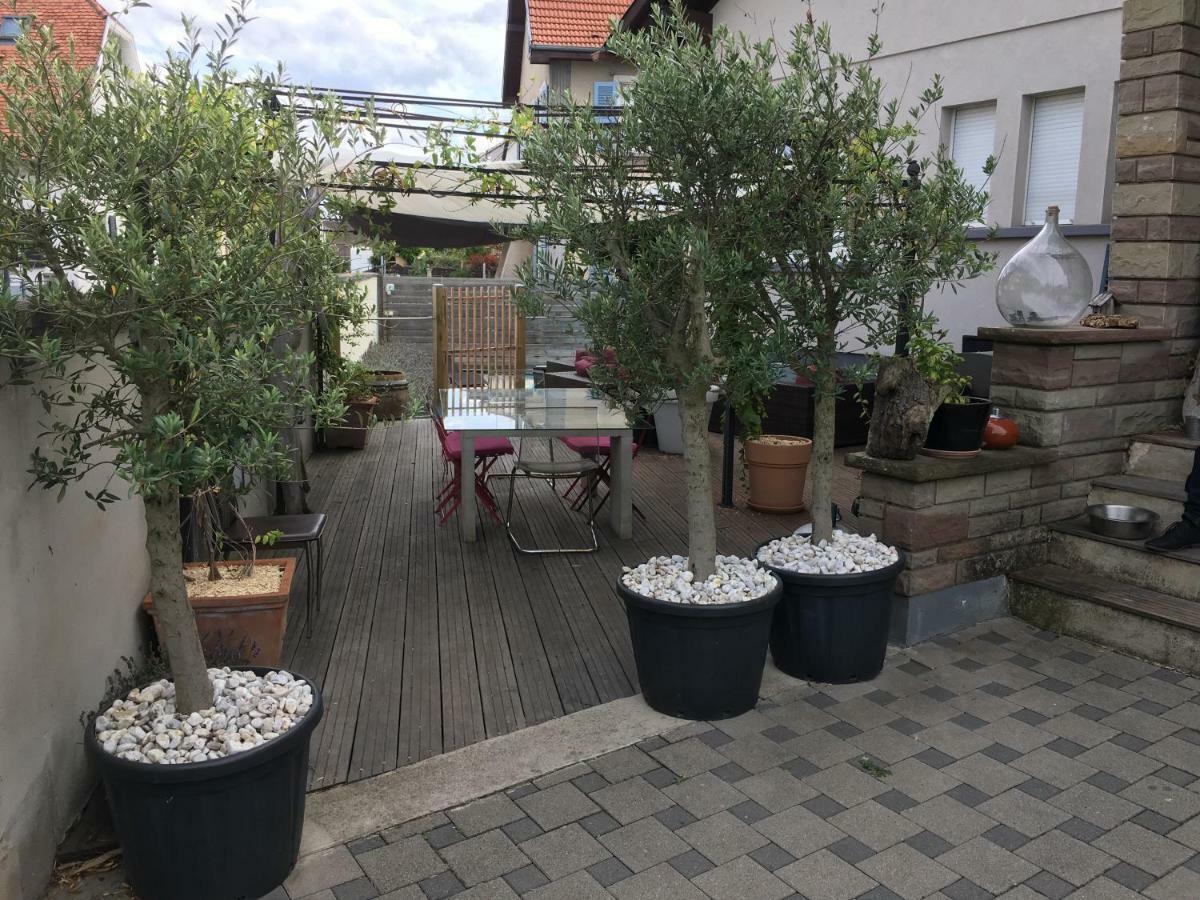 La Terrasse Selestadienne セレスタ エクステリア 写真